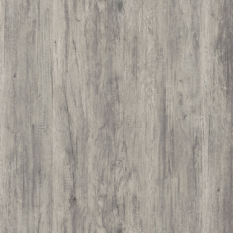 2 Door Accent Cabinet With Accents - Gray