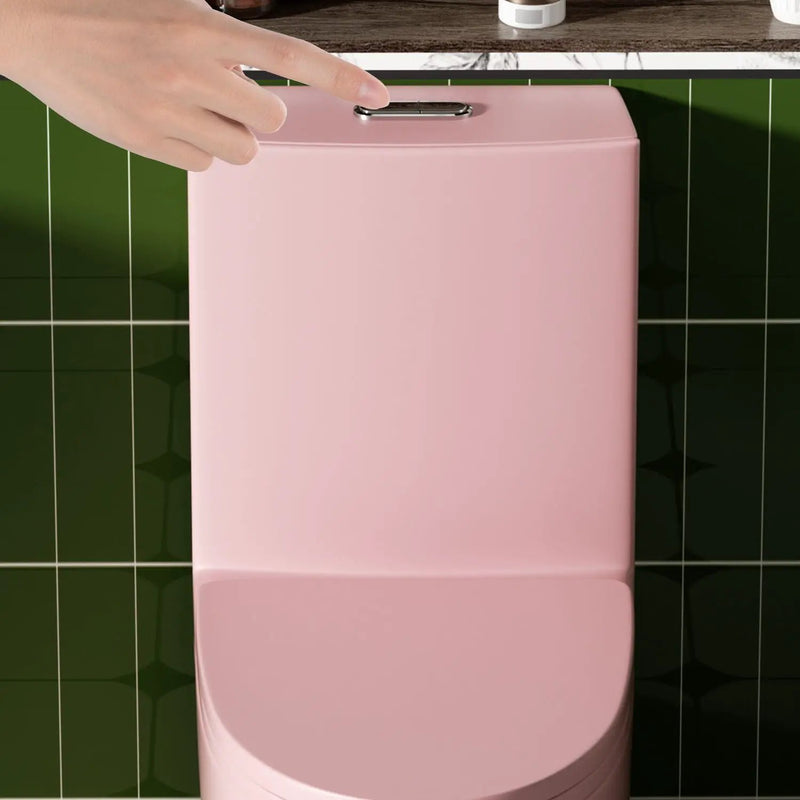 1 Piece Toilet With Tornado Flush, Dual Flush, And ADA Height Comfort Chair by HouseOfZazla