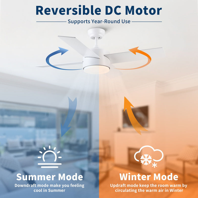 Ceiling Fan With Remote Control, Reversible DC Motor, 6 Speeds, 3 Dimmable LED, Quiet Timer For Indoor - White by HouseOfZazla