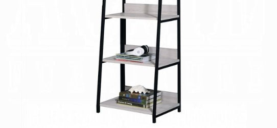 Wendral Rectangular Leaning Ladder Bookshelf by HouseOfZazla