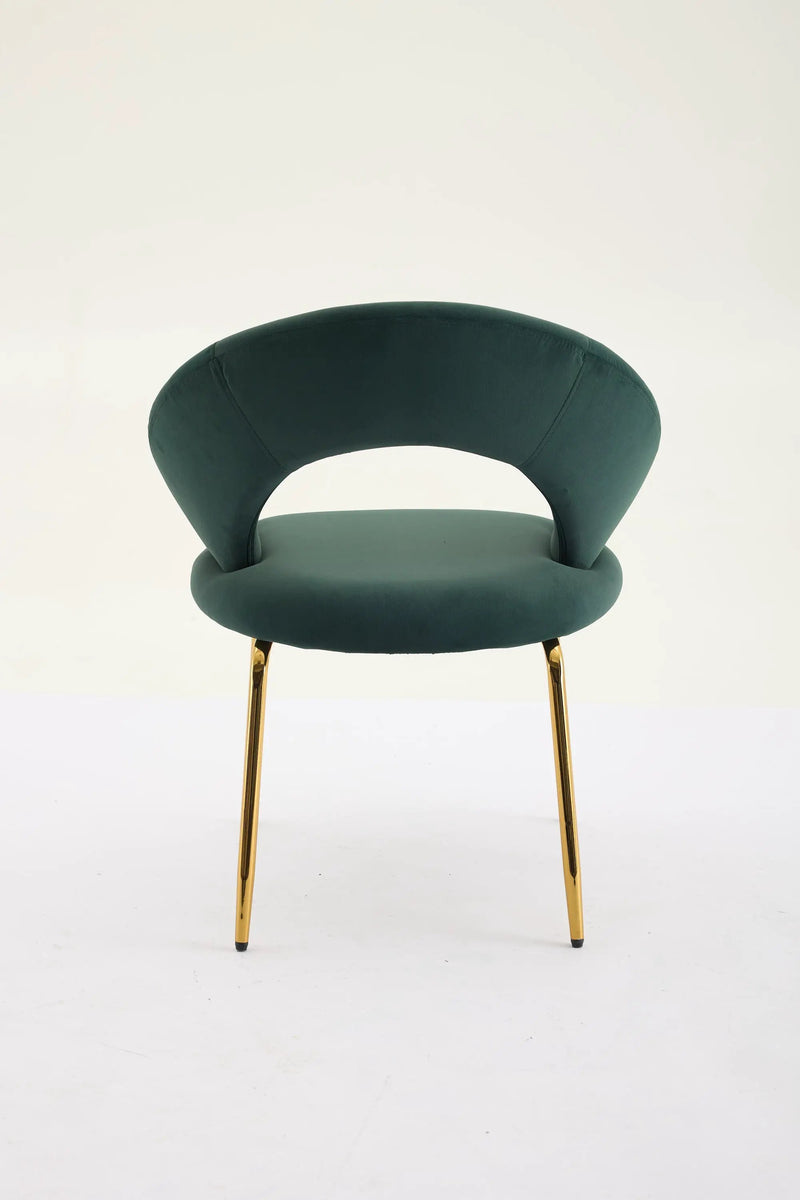 Velvet Fabric Dining Chair with Curved Backrest and Golden Metal Legs by HouseOfZazla