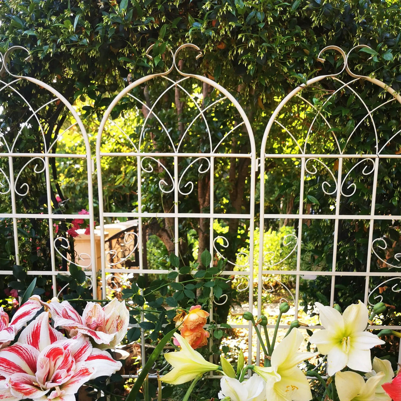 Metal Garden Rustproof Trellis For Climbing Plants Outdoor Flower Support by Unique Piece Furniture