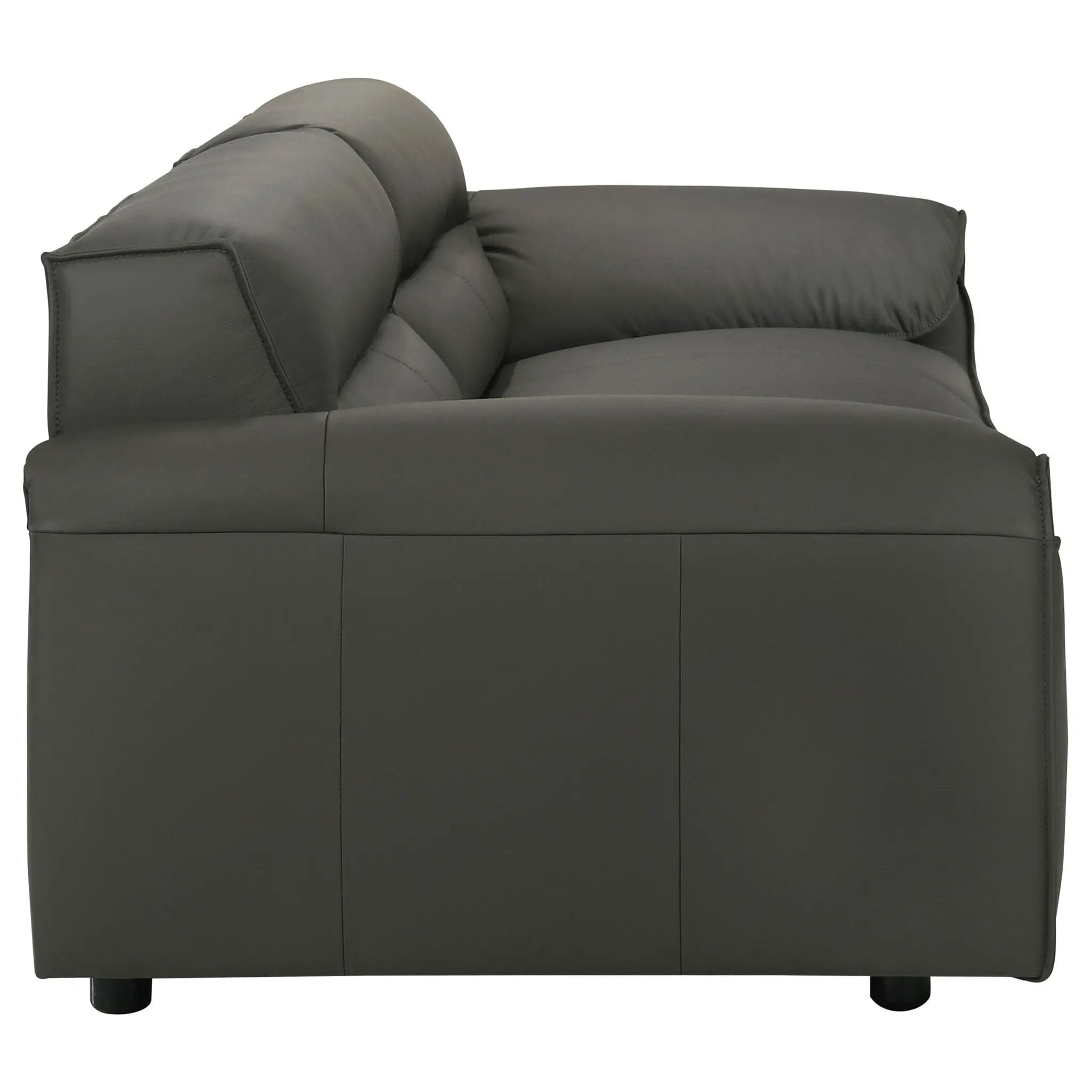 Buxton 2-piece Leather Upholstered Sofa Set Graphite by Unique Piece Furniture