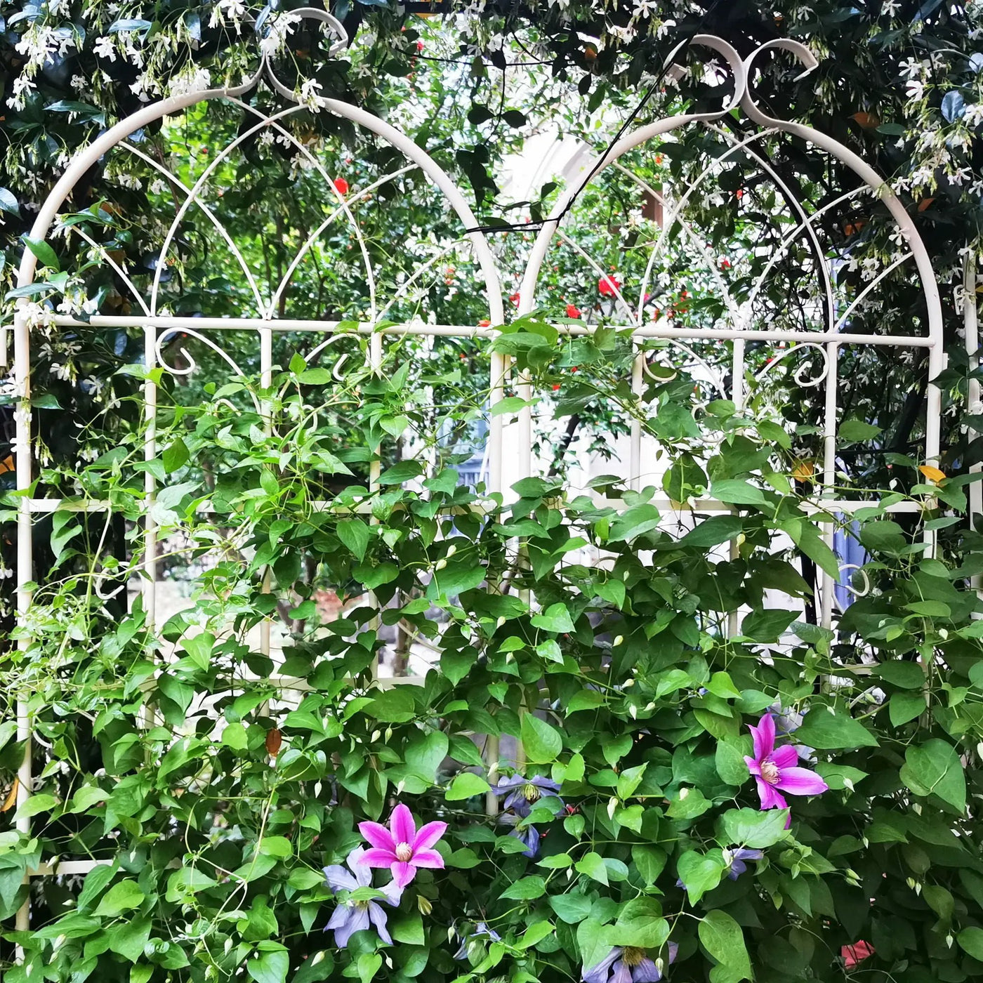 Metal Garden Rustproof Trellis For Climbing Plants Outdoor Flower Support by Unique Piece Furniture