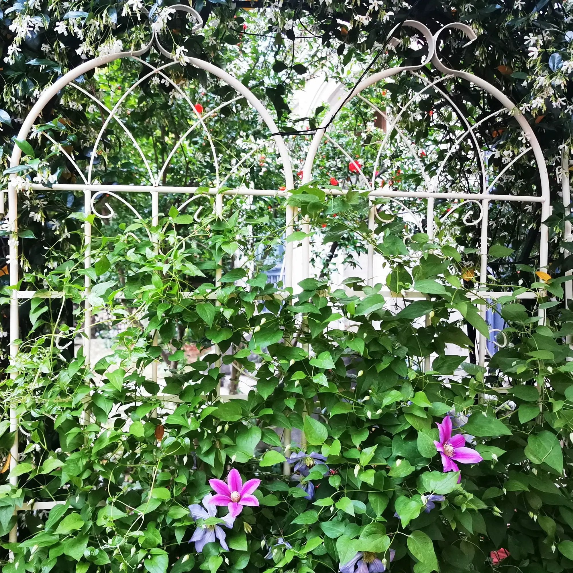 Metal Garden Rustproof Trellis For Climbing Plants Outdoor Flower Support by Unique Piece Furniture