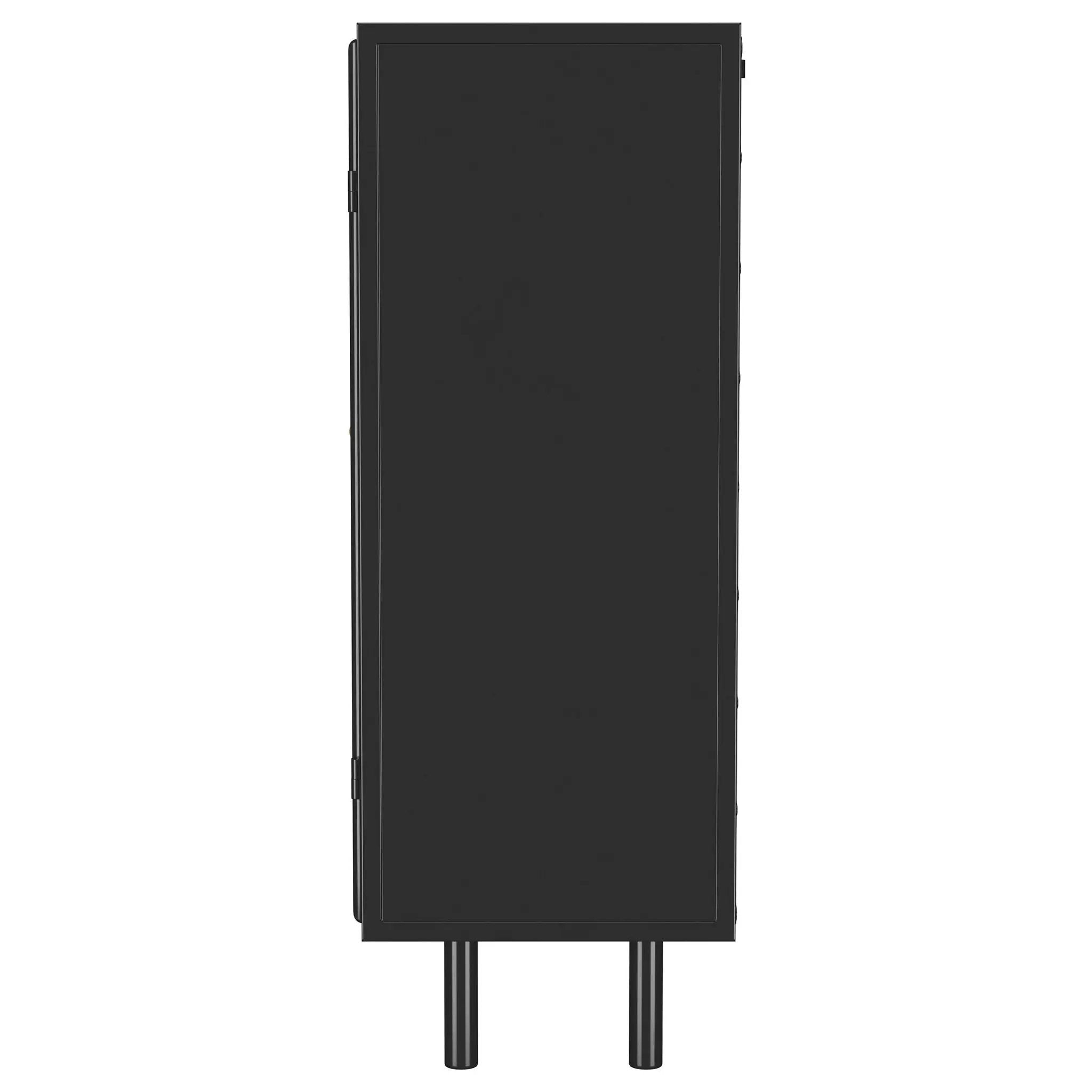 Dalia 2-door Accent Storage Cabinet with Shelving Black by Unique Piece Furniture