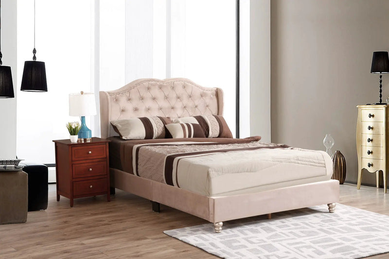 Upholstered Bed Transitional by HouseOfZazla