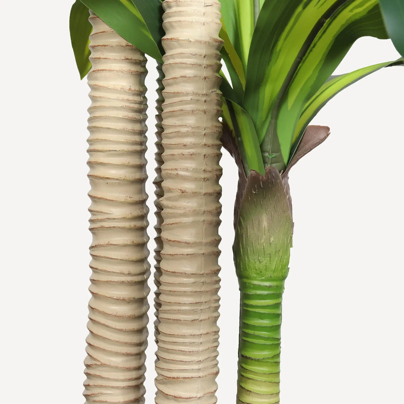 6' Artificial Dracaena Tree by HouseOfZazla