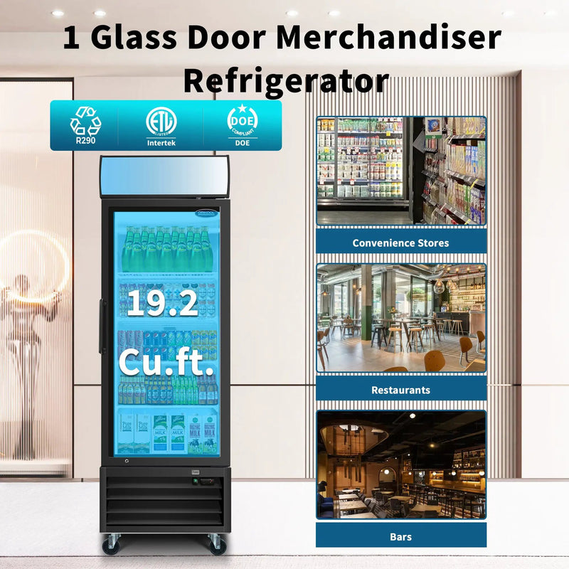 Glass Door Merchandiser Refrigerator Swing Door Commercial Display Refrigerators Merchandising Refrigeration With LED Top Panel by HouseOfZazla