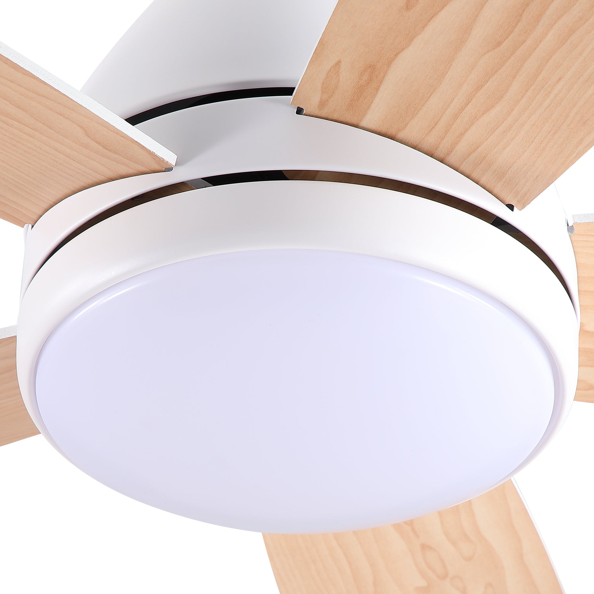 52 in. Indoor Ceiling Fan by HouseOfZazla