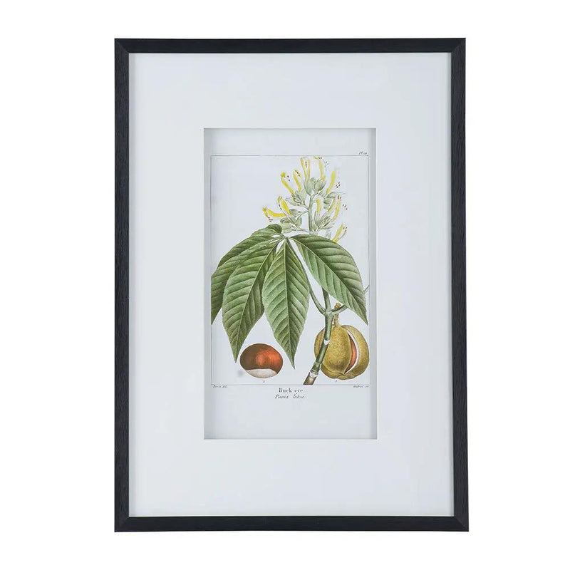 19.7x27.6 Botanical Wall Arts, Set of 2 by HouseOfZazla