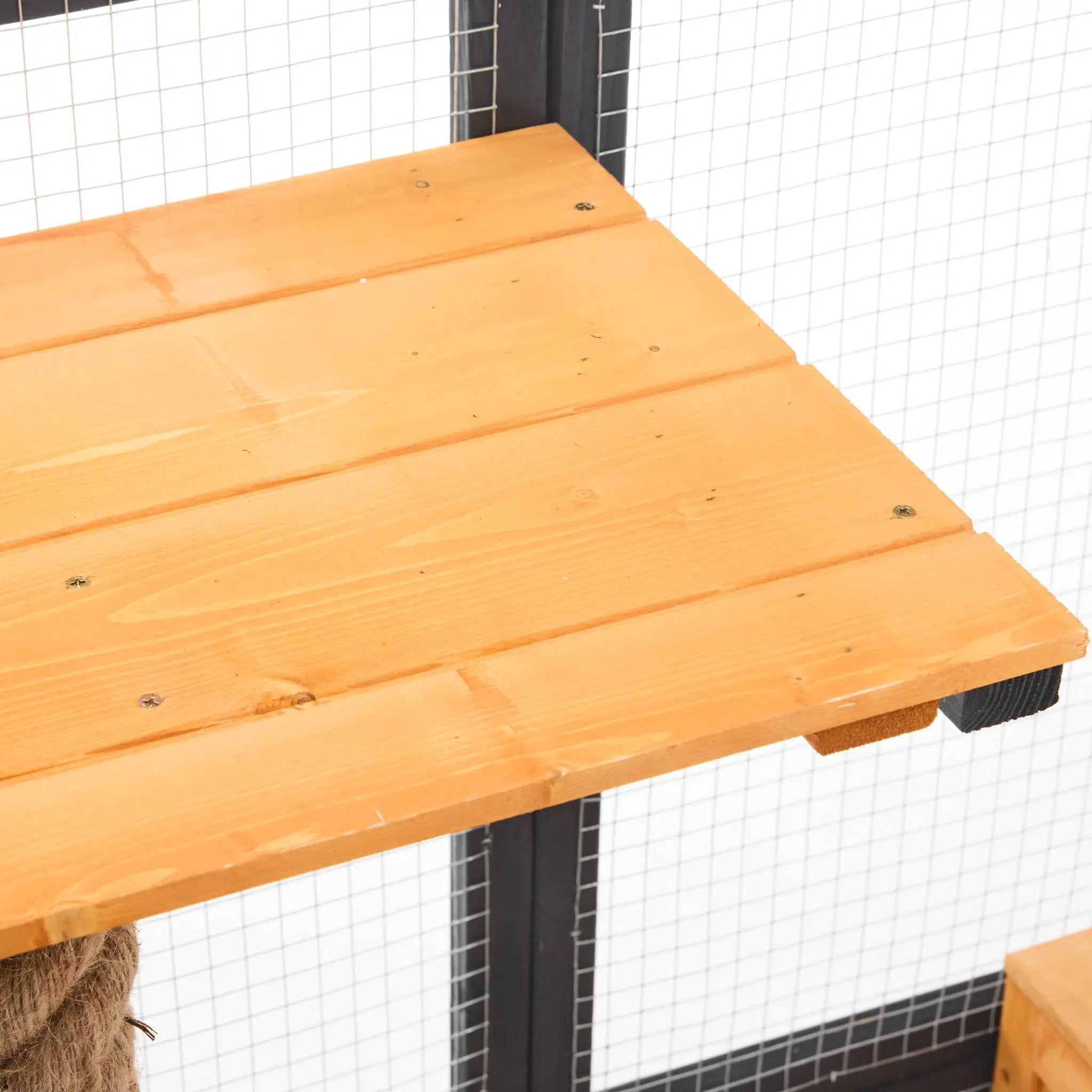 Outdoor Cat House, Diy Cat Enclosure Catio With Double Enter Doors by HouseOfZazla
