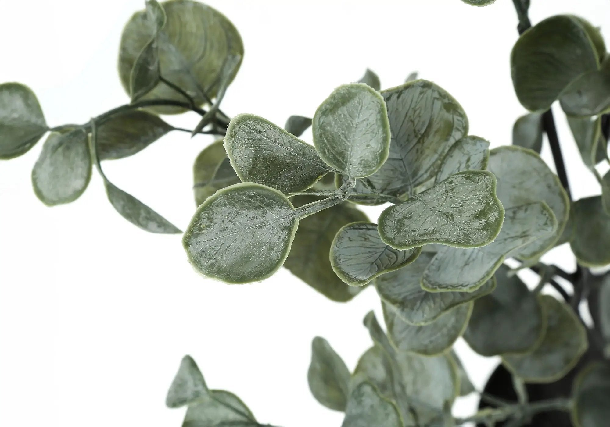 35" Tall, Artificial Plant, Eucalyptus Tree, Indoor, Faux, Fake, Floor, Greenery, Potted, Decorative - Green / Black by Unique Piece Furniture