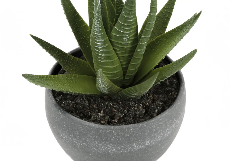 6" Tall Artificial Succulent Plant Set of 3 by HouseOfZazla
