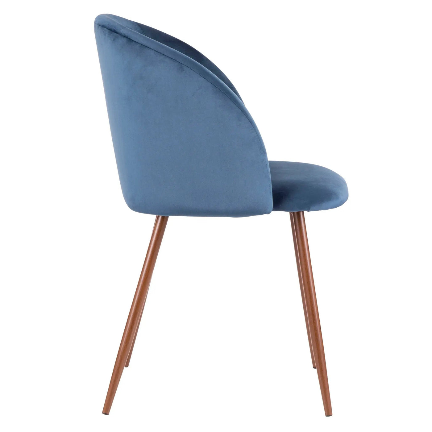 Fran - Contemporary Dining Chair (Set of 2) by HouseOfZazla