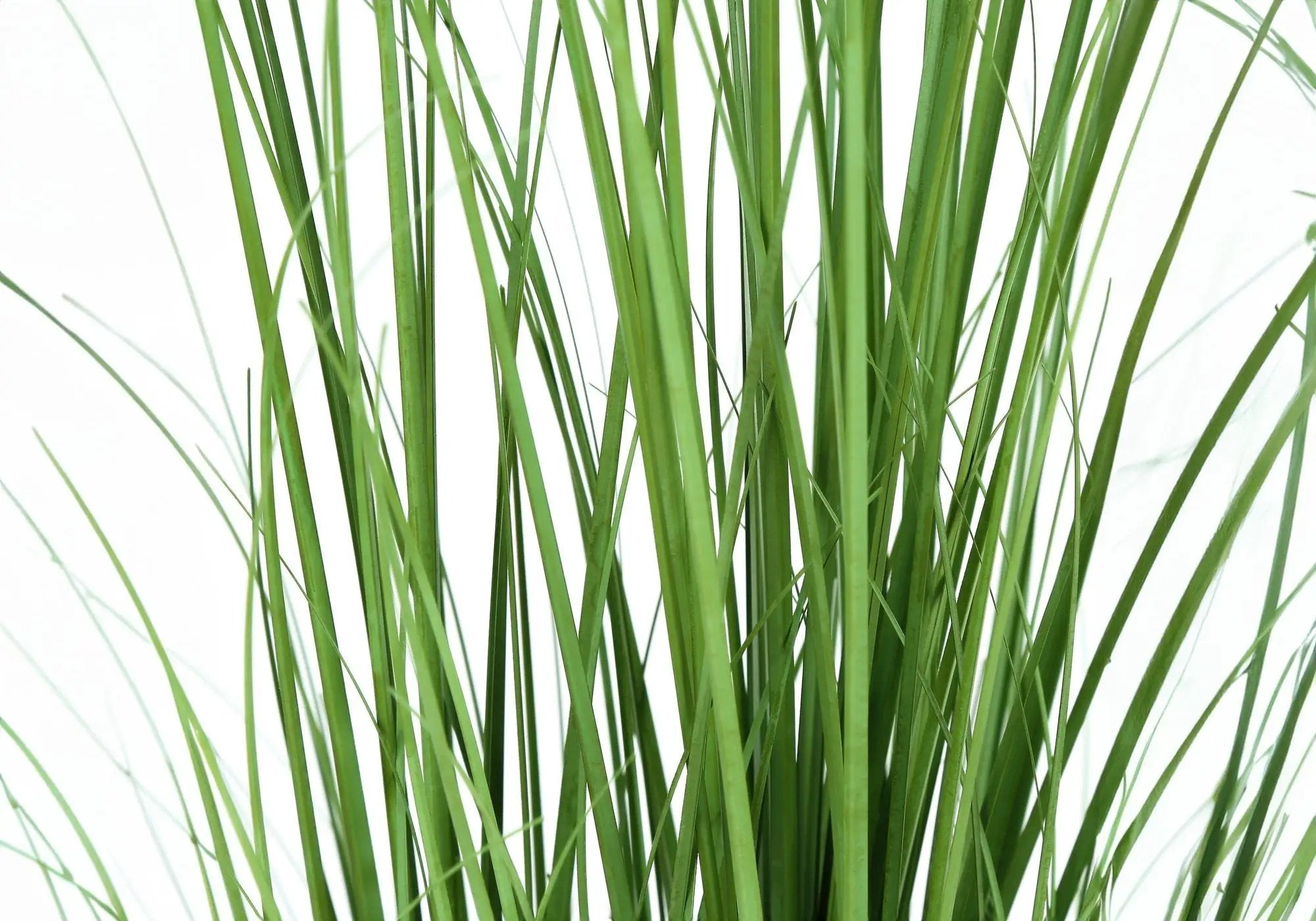 47" Tall Artificial Indoor Grass Tree by HouseOfZazla