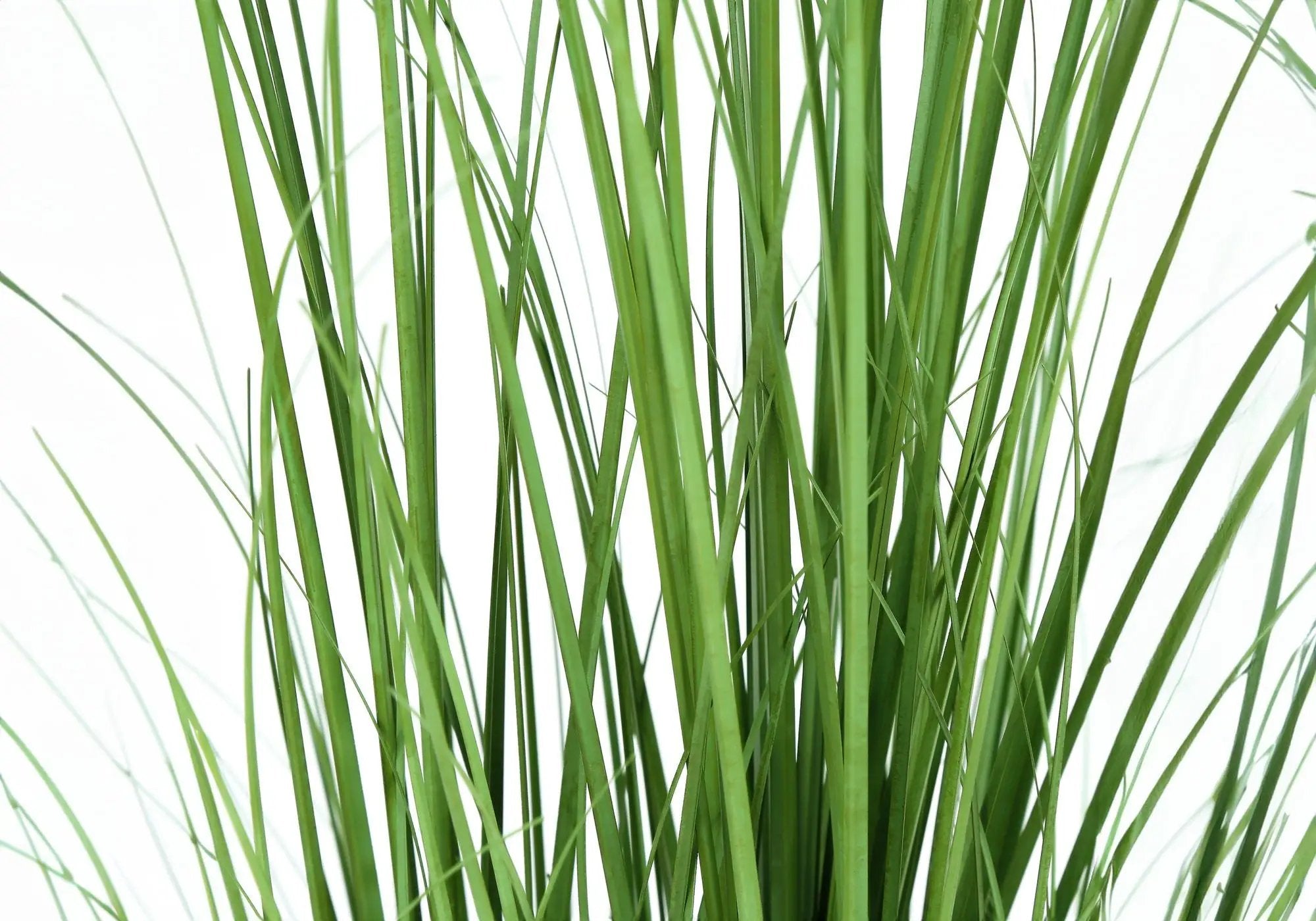 47" Tall, Artificial Plant, Grass Tree, Indoor, Faux, Fake, Floor, Greenery, Potted, Real Touch, Decorative - Green / Black by Unique Piece Furniture