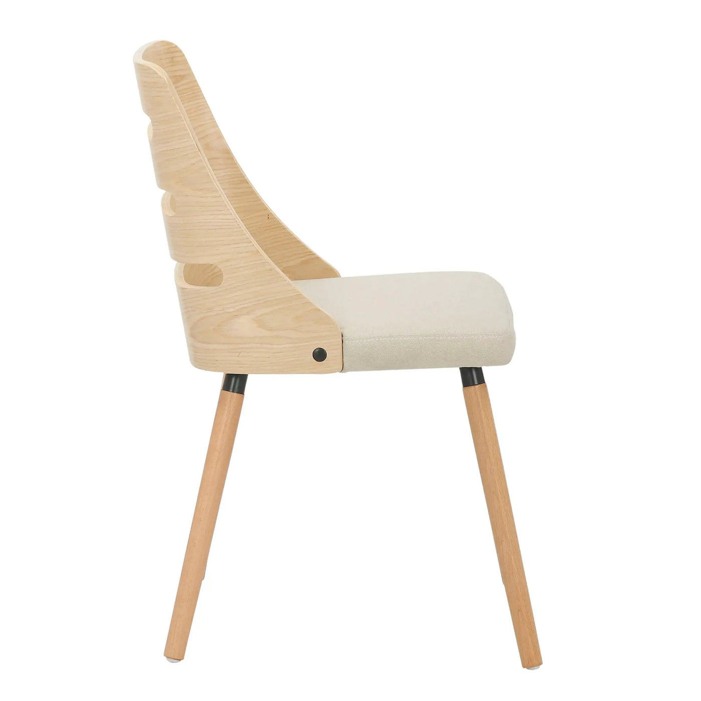 Trevi - Mid Century Modern Dining Chair by HouseOfZazla