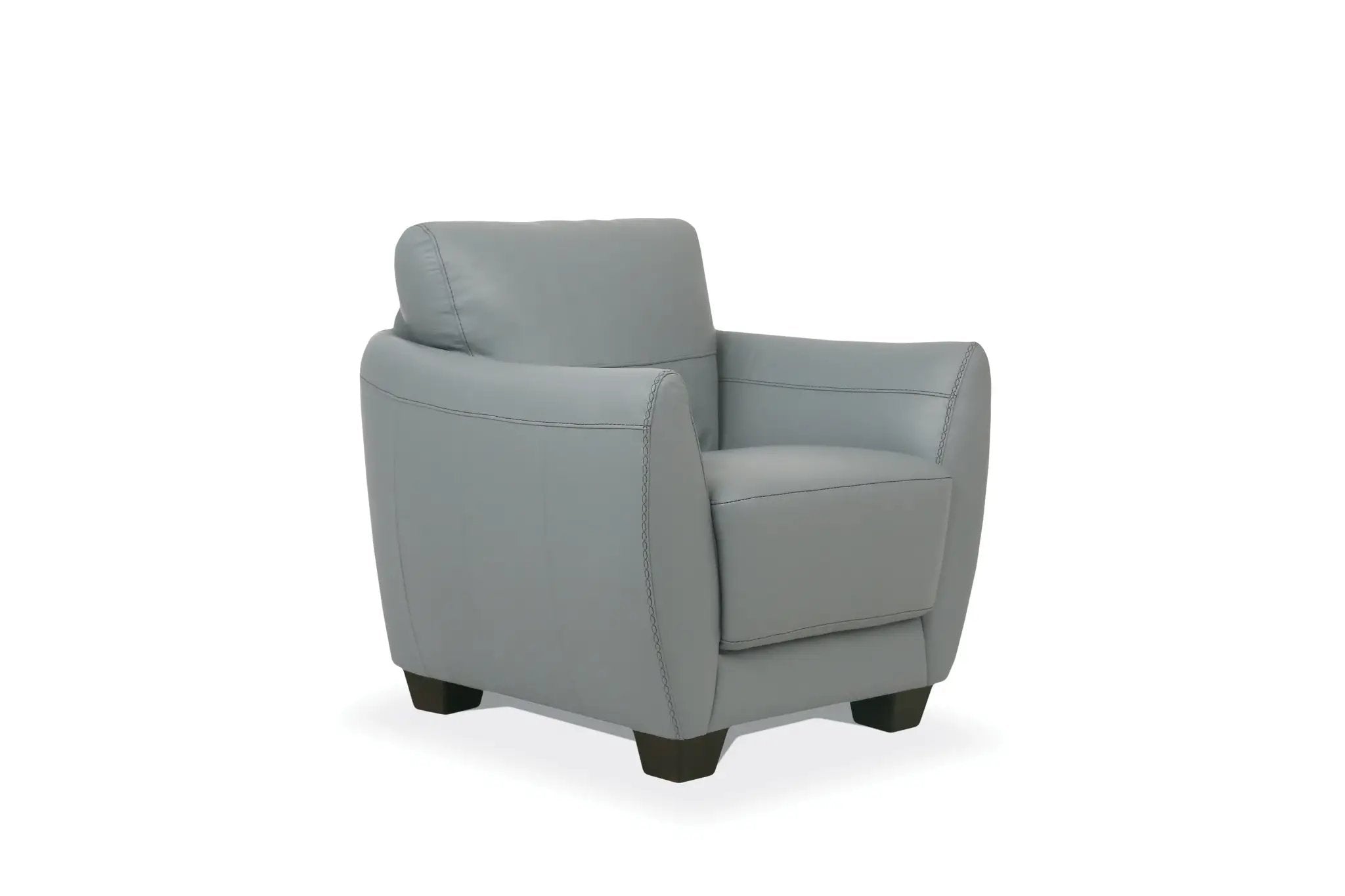 Valeria Watery Leather Chair (Assembled) by HouseOfZazla
