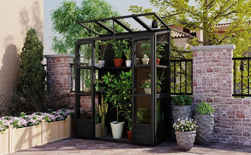 TOPMAX 78-inch Wooden Greenhouse Cold Frame with 4 Independent Skylights and 2 Folding Middle Shelves by HouseOfZazla