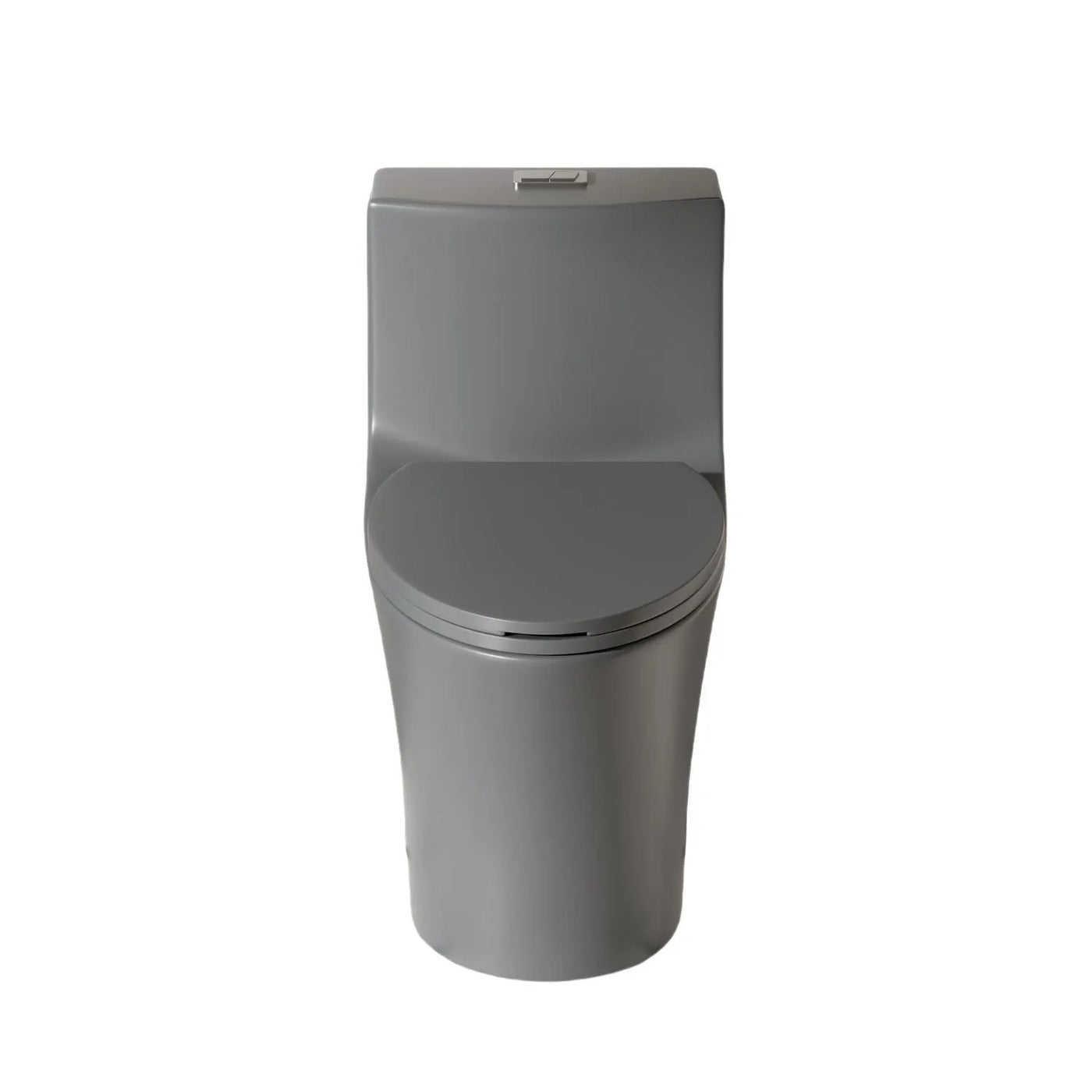 1 Piece Toilet With Dual Flush And Soft Closing Seat by HouseOfZazla
