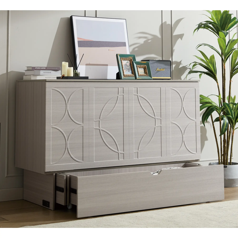 Cabinet Bed with Storage and Foam Mattress by HouseOfZazla