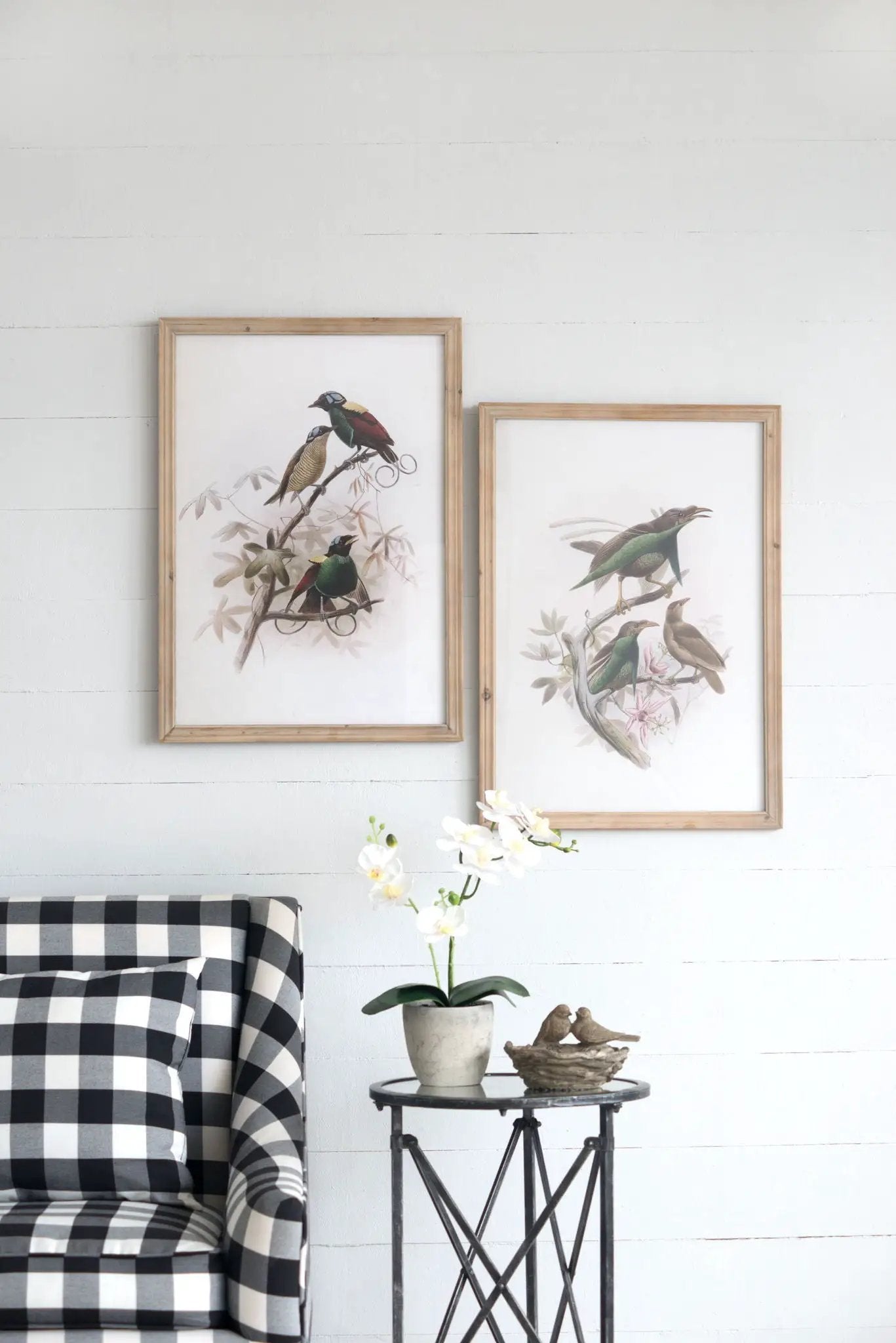 Bird Framed Print (Set of 2) - Multicolor by Unique Piece Furniture