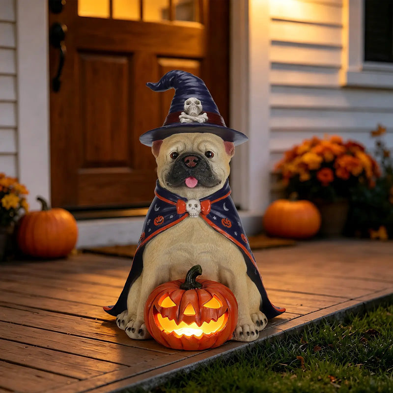 Halloween Bulldog Witch Statue, LED Light Up Jack-O-Lantern Pumpkin by HouseOfZazla