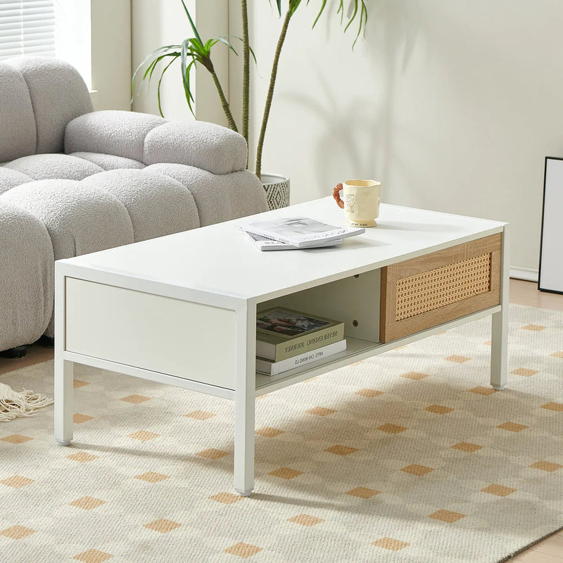 Modern Rattan Coffee Table with Sliding Door by HouseOfZazla
