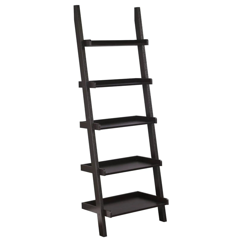 Ladder 5 Shelf Bookcase With Spacious Storage - Brown by HouseOfZazla