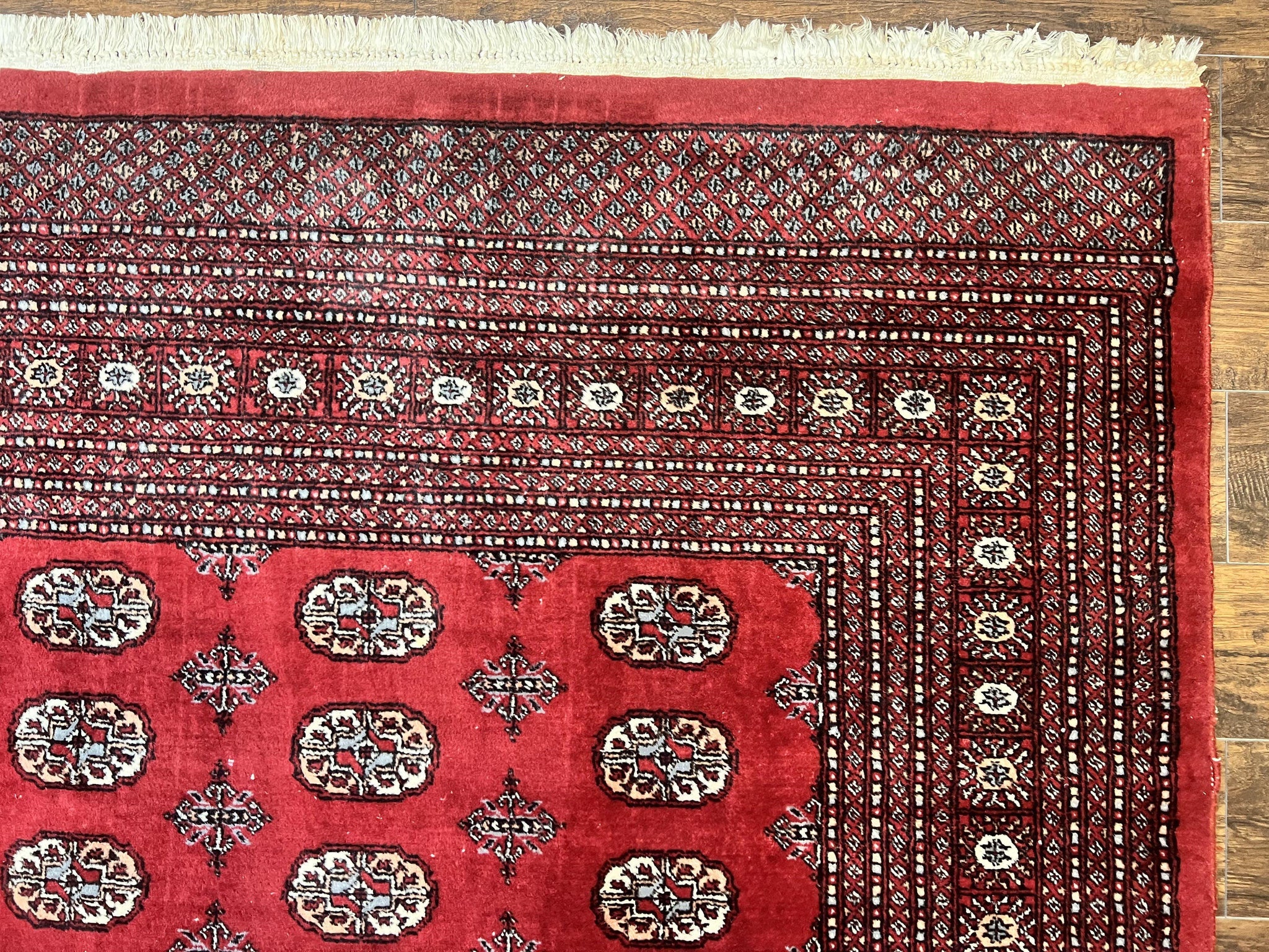 Turkoman Rug 8 x 11.6, Red Bokhara Pakistani Carpet, Wool Handmade Vintage Rug by Jewel Rugs