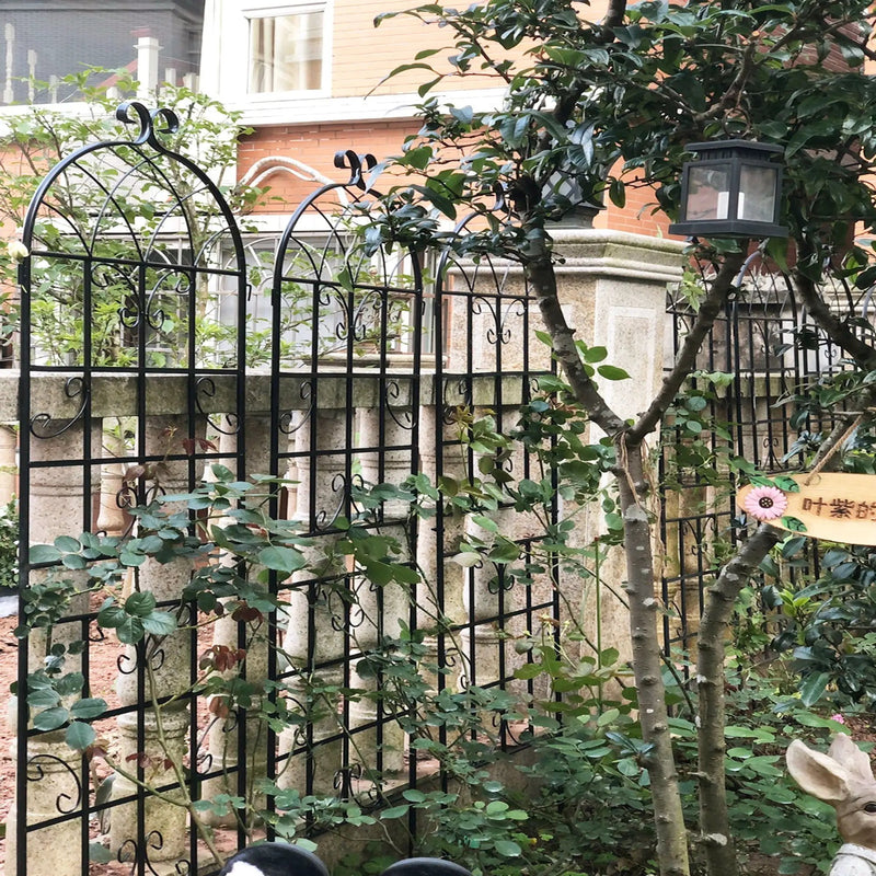 Metal Garden Rustproof Trellis For Climbing Plants Outdoor Flower Support by HouseOfZazla