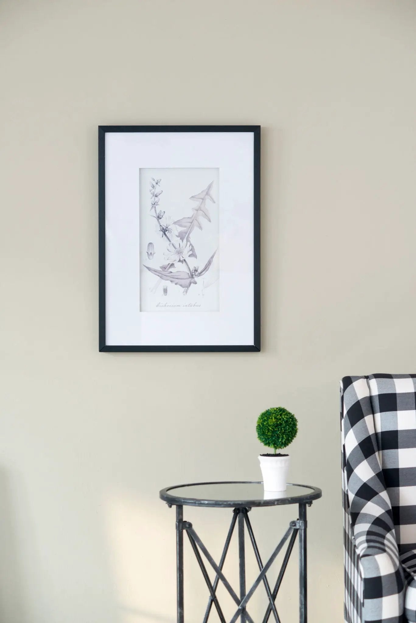 Botanical Wall Art Prints, Home Decor For Living Room Dining Room, Bedroom, Hallway (Set of 4) - White / Black by HouseOfZazla