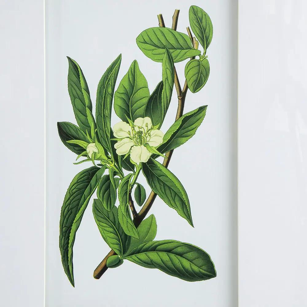 Botanical Flower Wall Art, Home Decor For Living Room Dining Room, Bedroom, Hallway (Set of 4) - White / Blue by HouseOfZazla