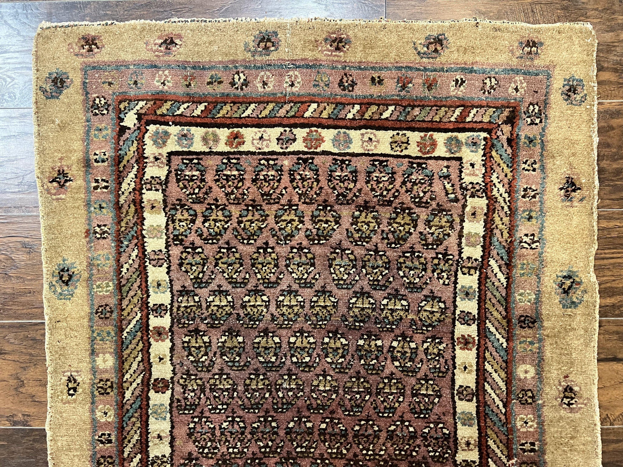 Antique Persian Sarab Runner Rug 3x11, Wool Camel Hair, Tribal Carpet for Hallway 3 x 11, Antique 1920s Rug, Handmade by Jewel Rugs