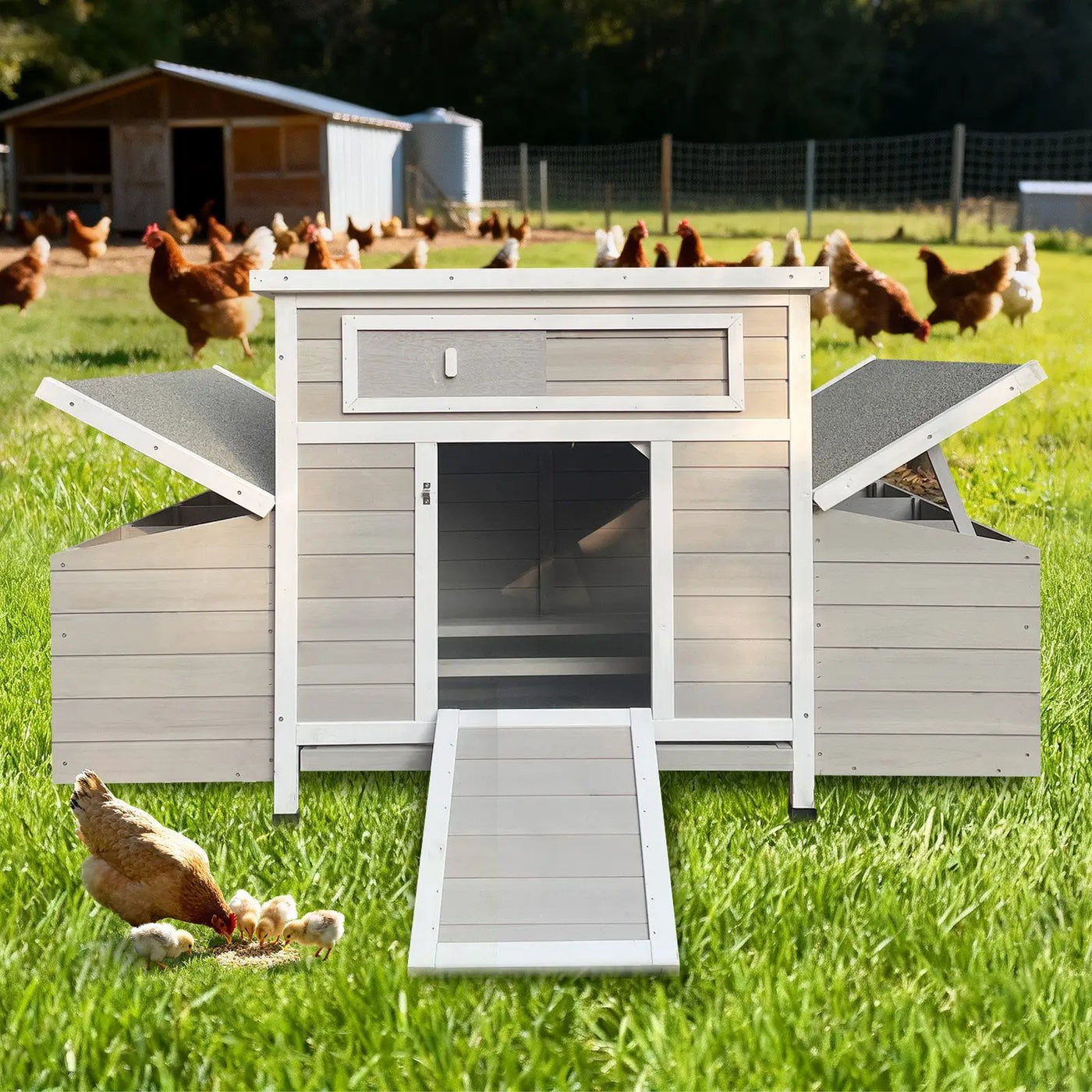 Large Wooden Chicken Coop Outdoor Hen House with Nesting Boxes by HouseOfZazla