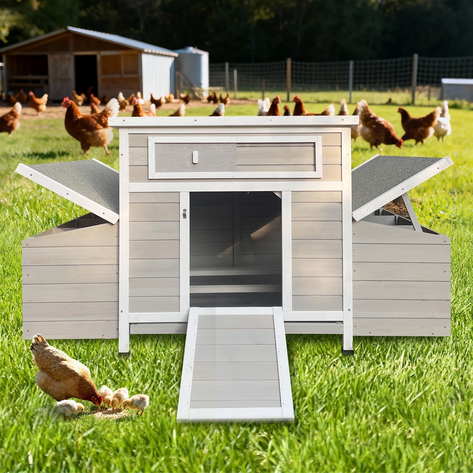 Large Wooden Chicken Coop Outdoor Hen House with Nesting Boxes by HouseOfZazla