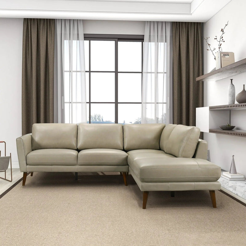 Benson - Sectional Sofa With Chaise by HouseOfZazla