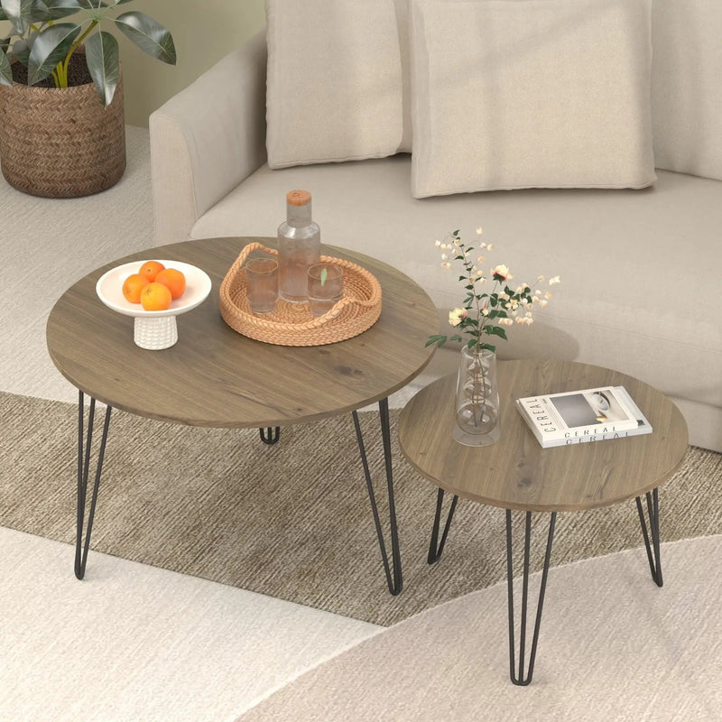 Round Nesting Coffee Table For Living Room (Set of 2) by HouseOfZazla