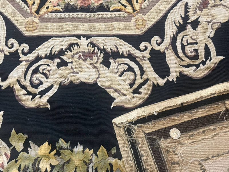 Aubusson Rug 6x8, European Design, Lion Pictorials, Black by Jewel Rugs