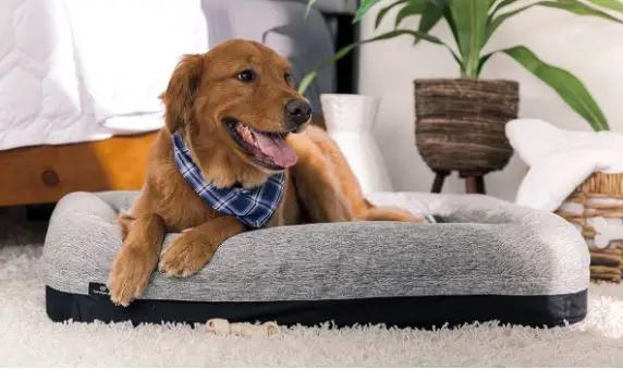 BedGear Performance Pet Bed, XL by HouseOfZazla