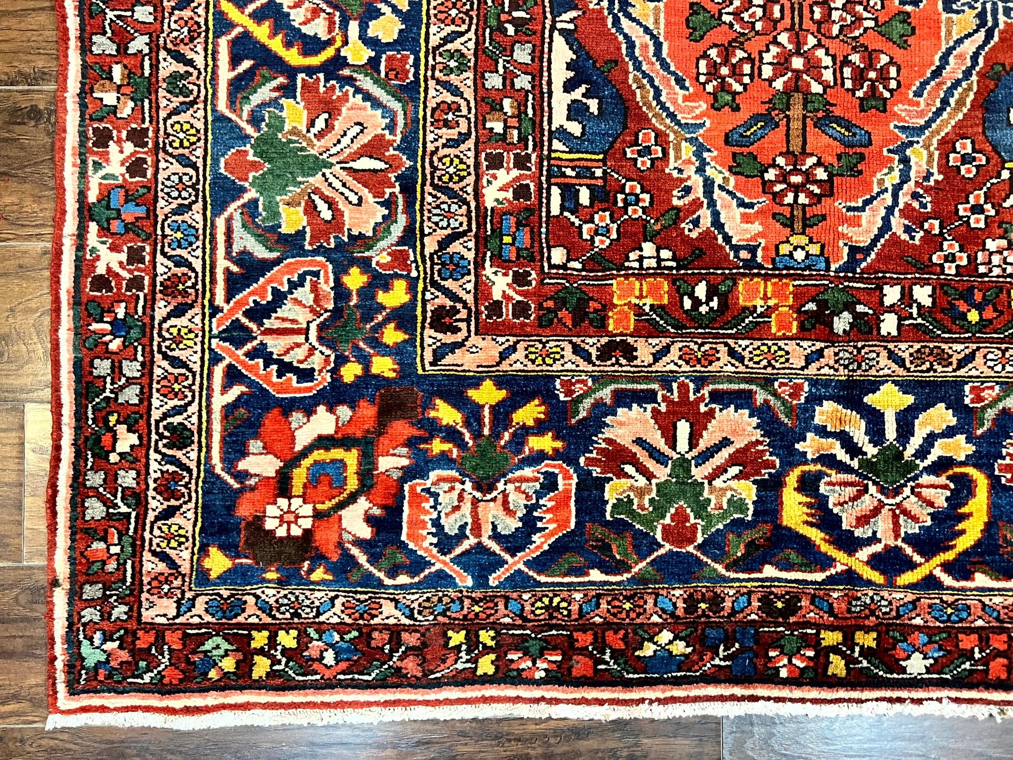 Large Persian Bakhtiari Rug 10x14, Rare Perisan Tribal Rug, Red Blue Ivory Multicolor, Hand Knotted, Semi Antique Carpet by Jewel Rugs
