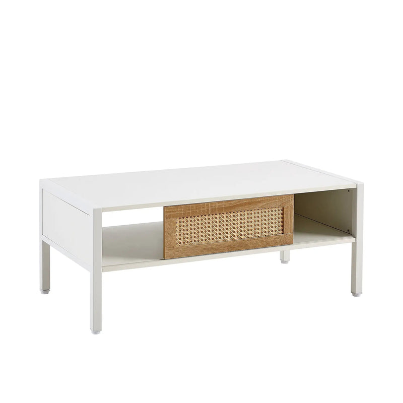 Modern Rattan Coffee Table with Sliding Door by HouseOfZazla