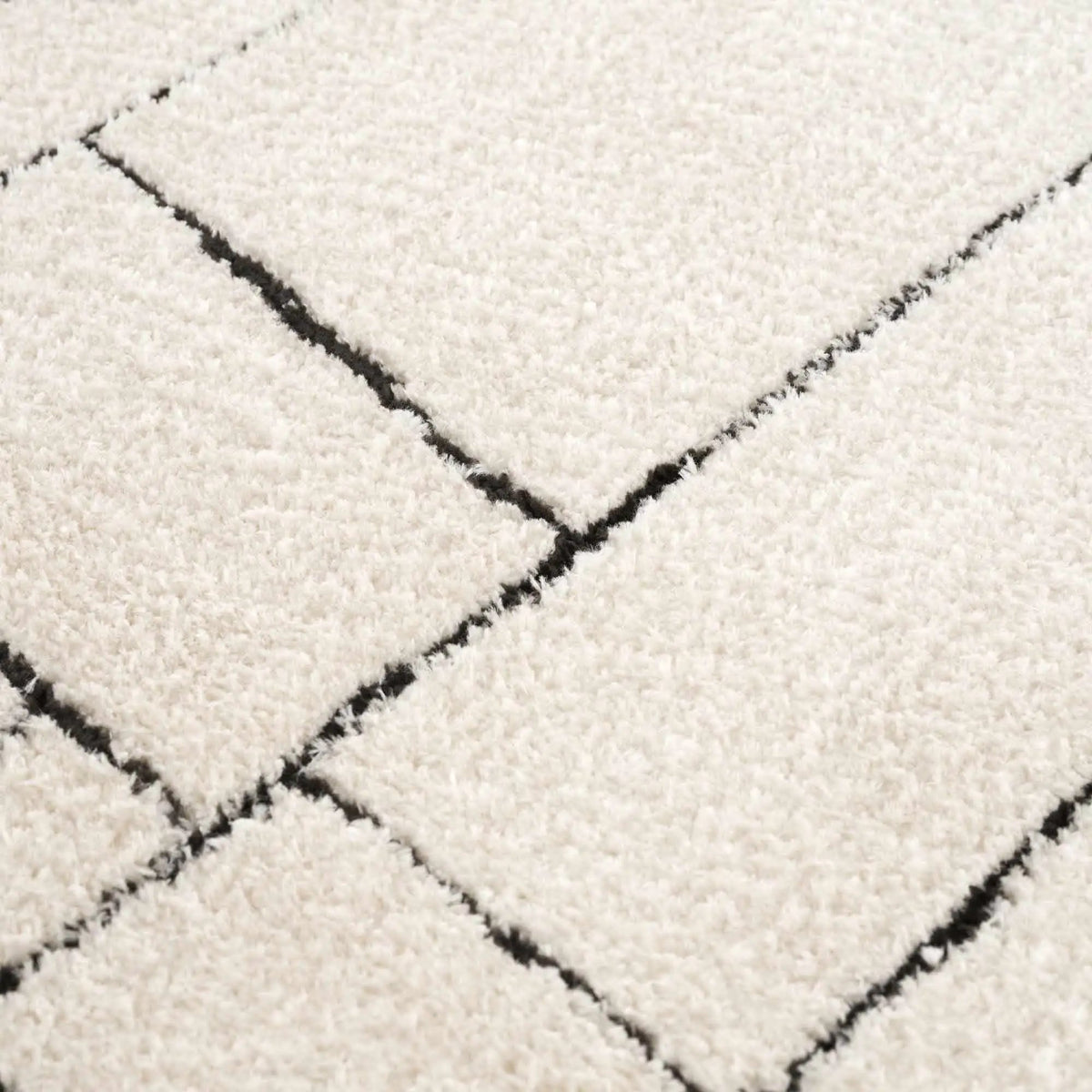 Keats Black & White Area Rug, photo 16 of 22