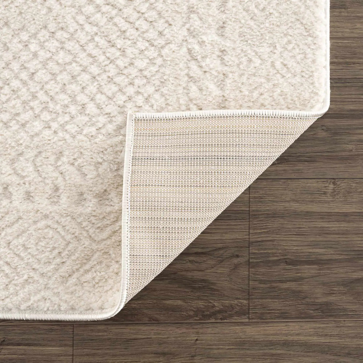 Julio Ivory Area Rug, photo 13 of 24