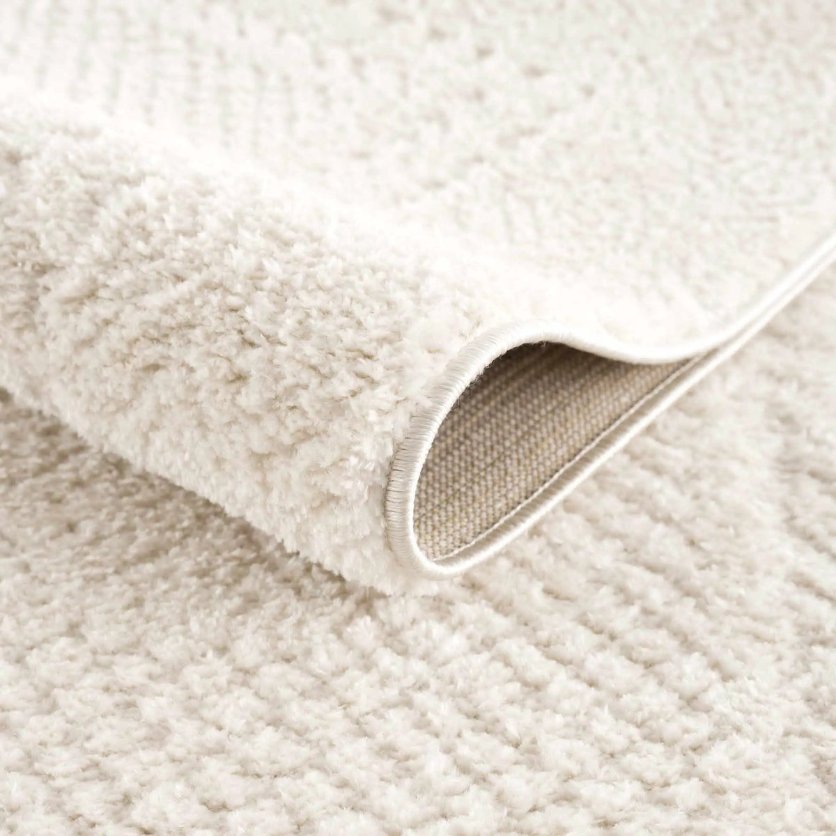 Julio Ivory Area Rug, photo 21 of 24