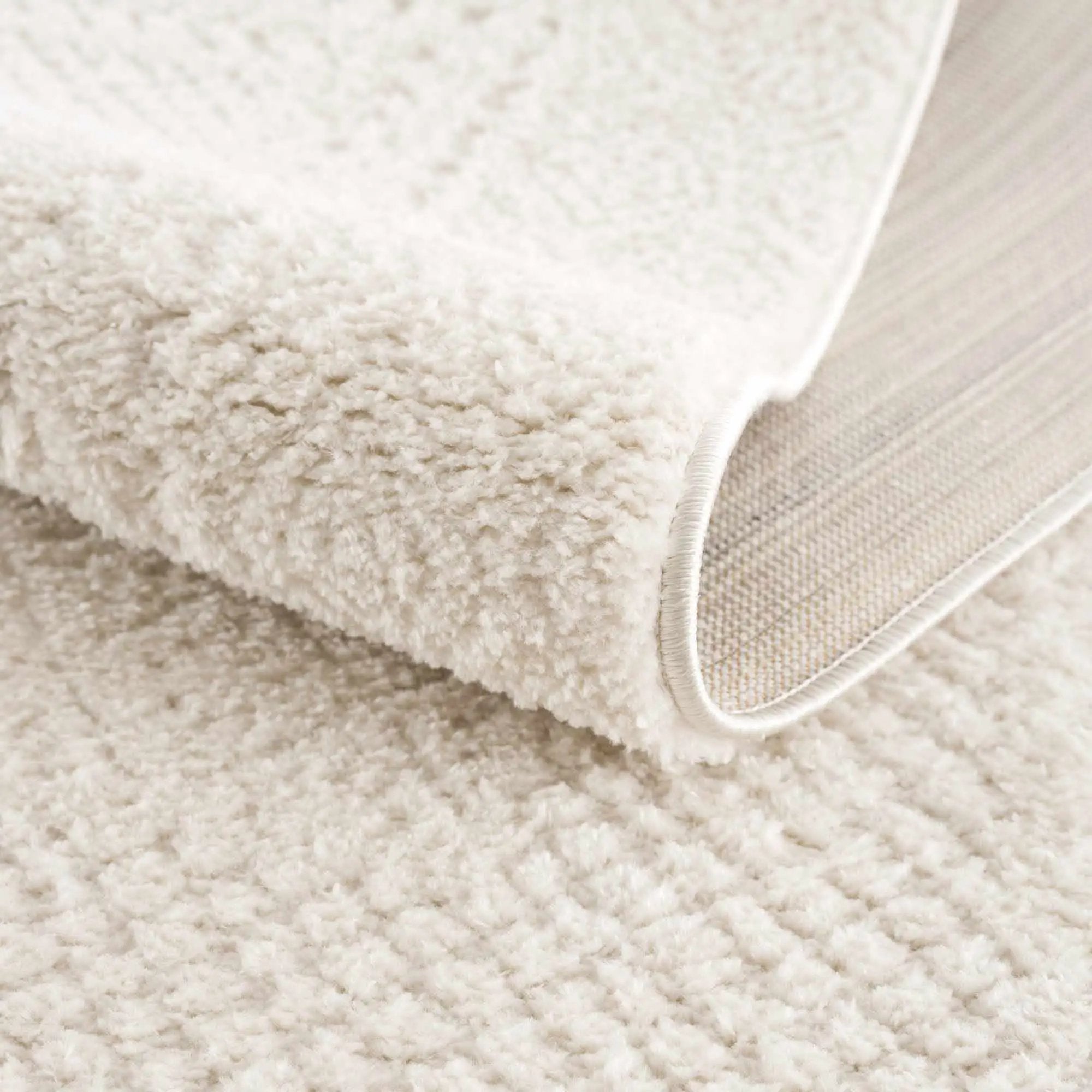 Julio Ivory Area Rug by Boutique Rugs