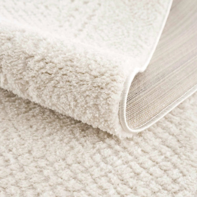 Julio Ivory Area Rug by Boutique Rugs