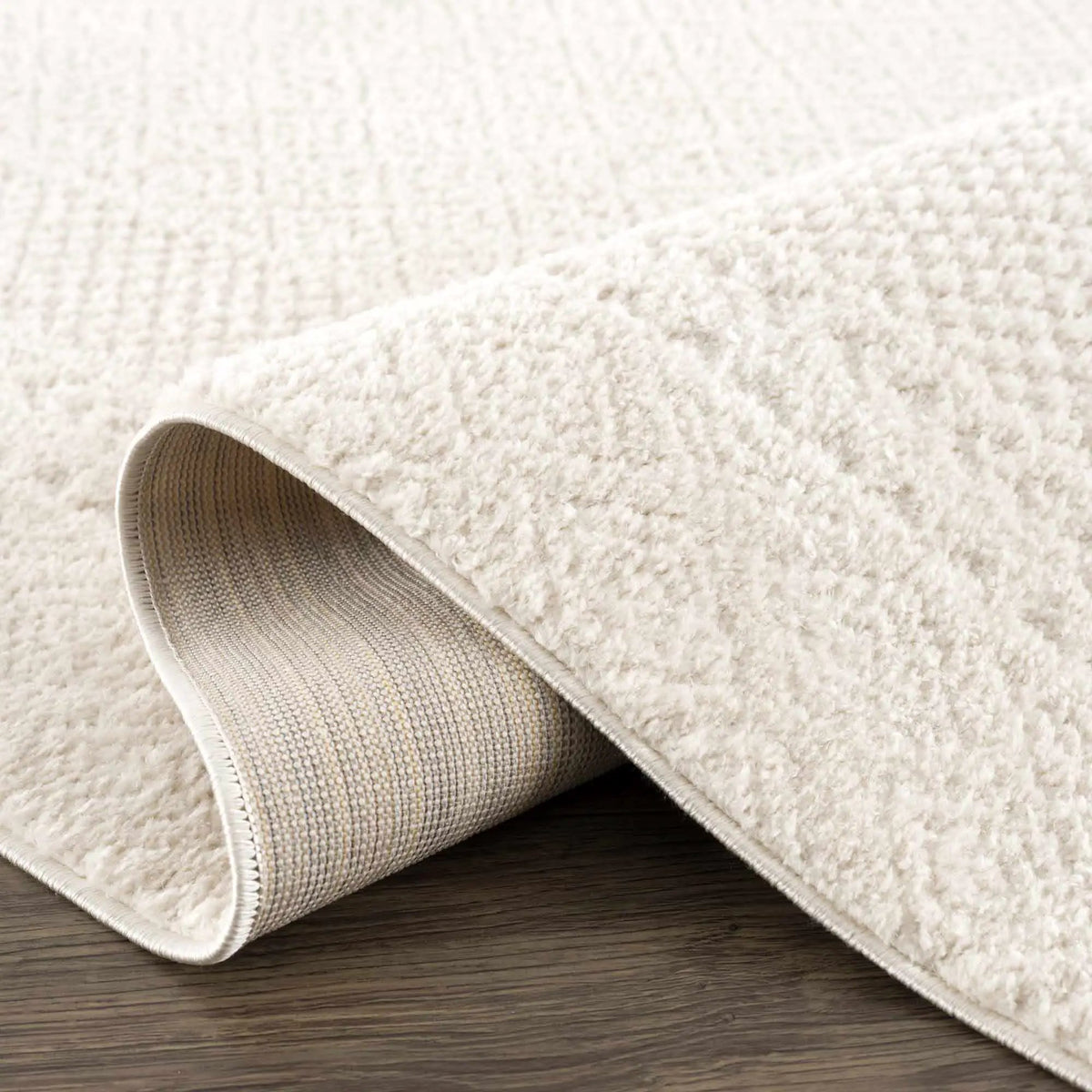 Julio Ivory Area Rug, photo 14 of 24