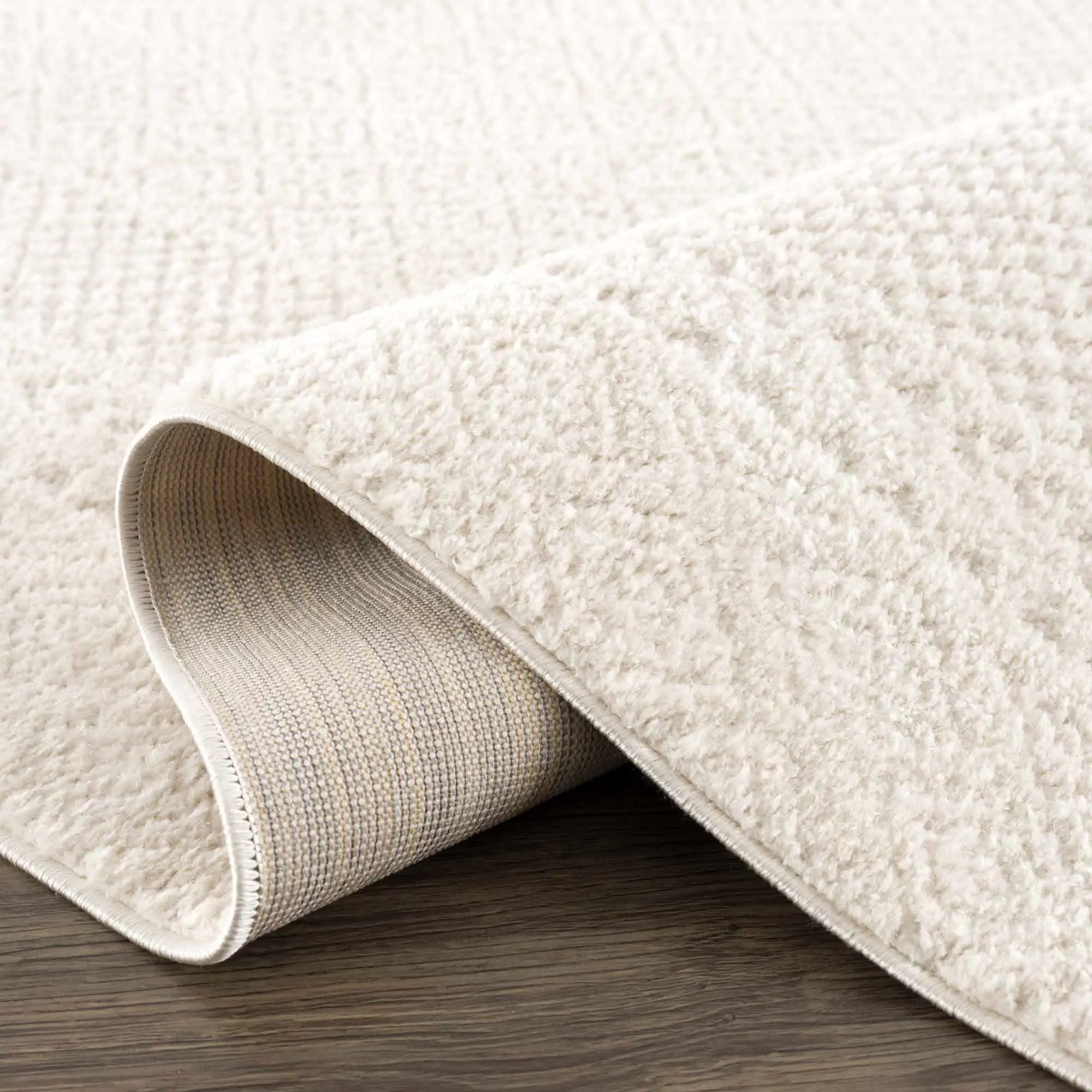 Julio Ivory Area Rug by Boutique Rugs